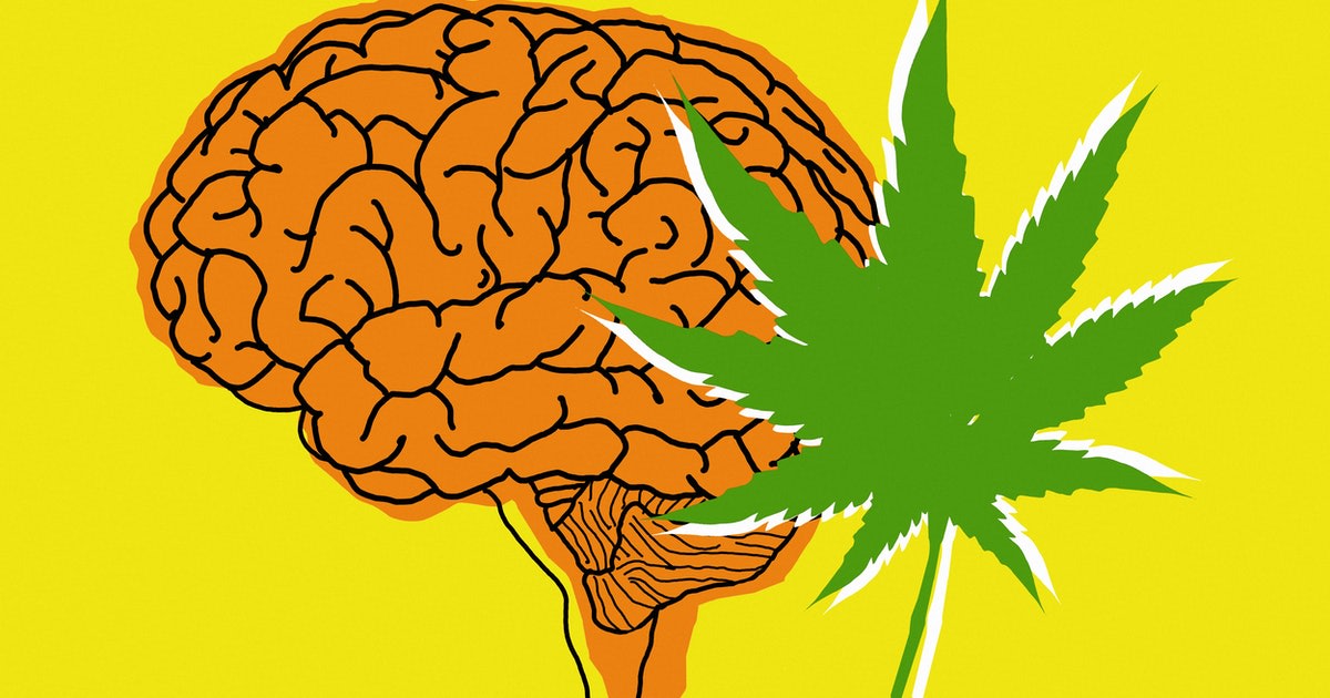 This is what happens to your body and mind when you quit weed