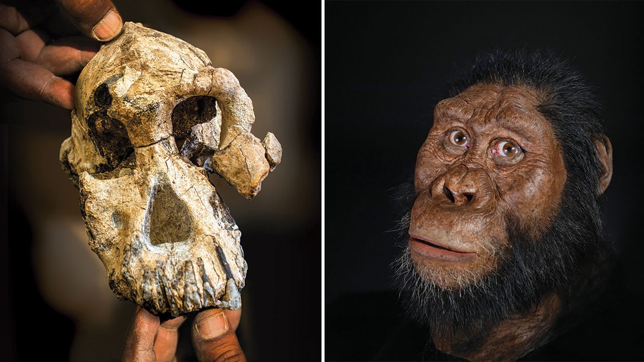 Stunning ancient skull shakes up human family tree