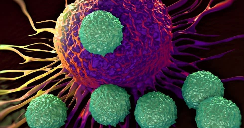 Scientific breakthrough: New research discover why cancer spreads through the body