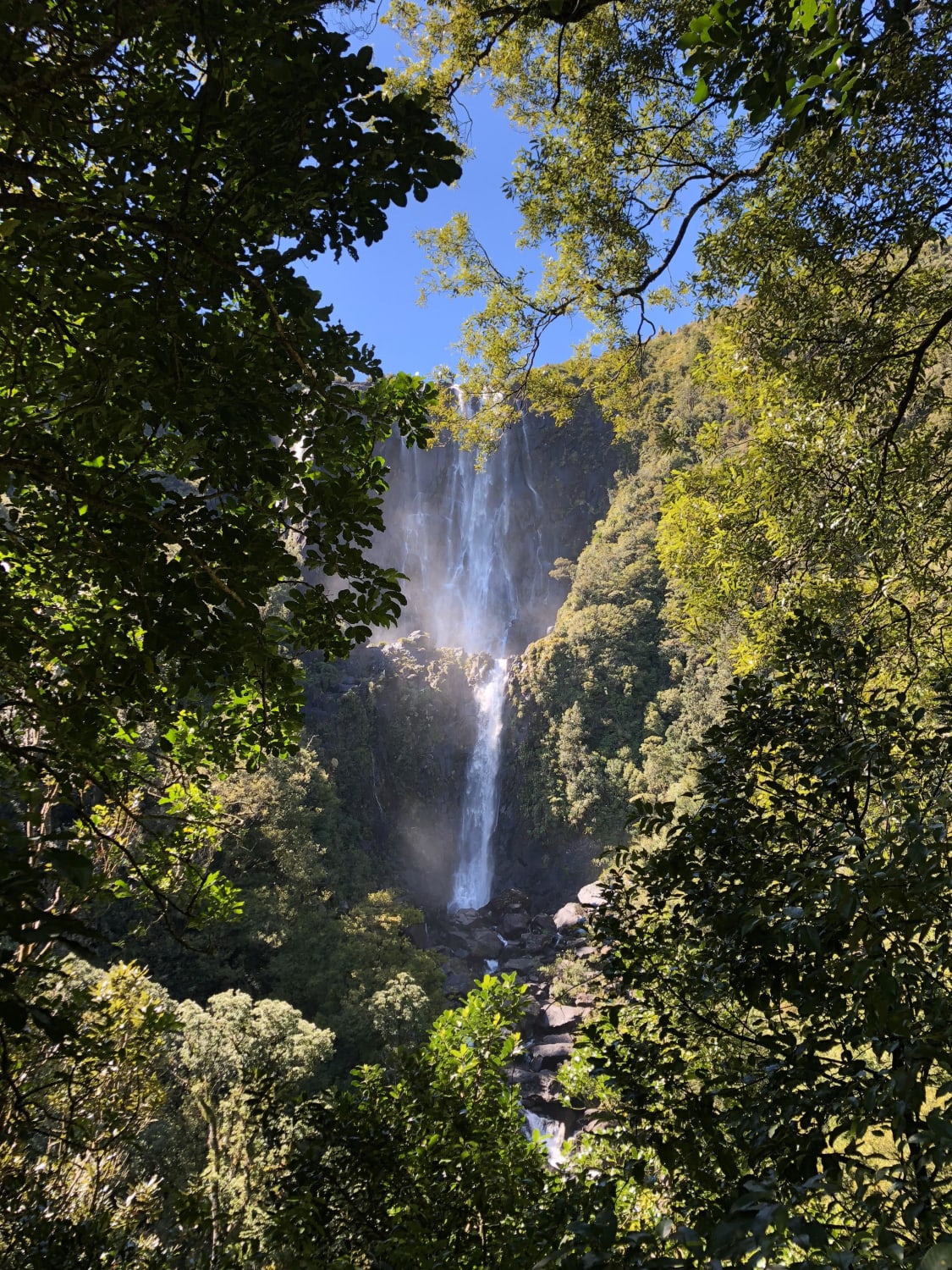 My favourite New Zealand waterfall - Wairere Falls 💦