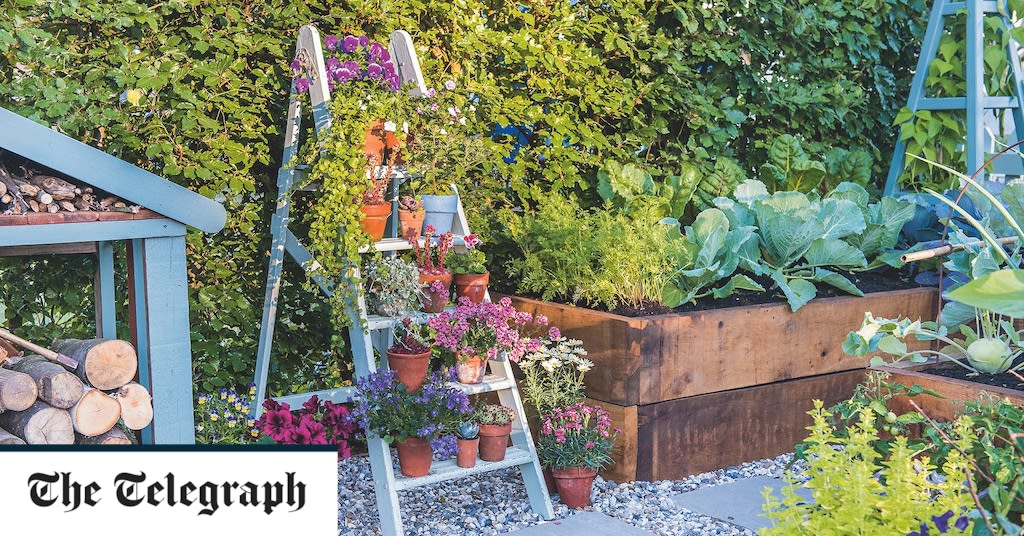 How to perk up dingy corners of your garden