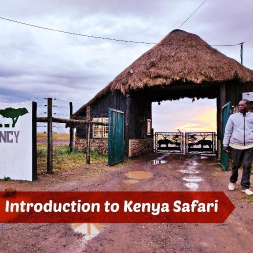 Introduction to Kenya Safari: From Nairobi to Nanyuki