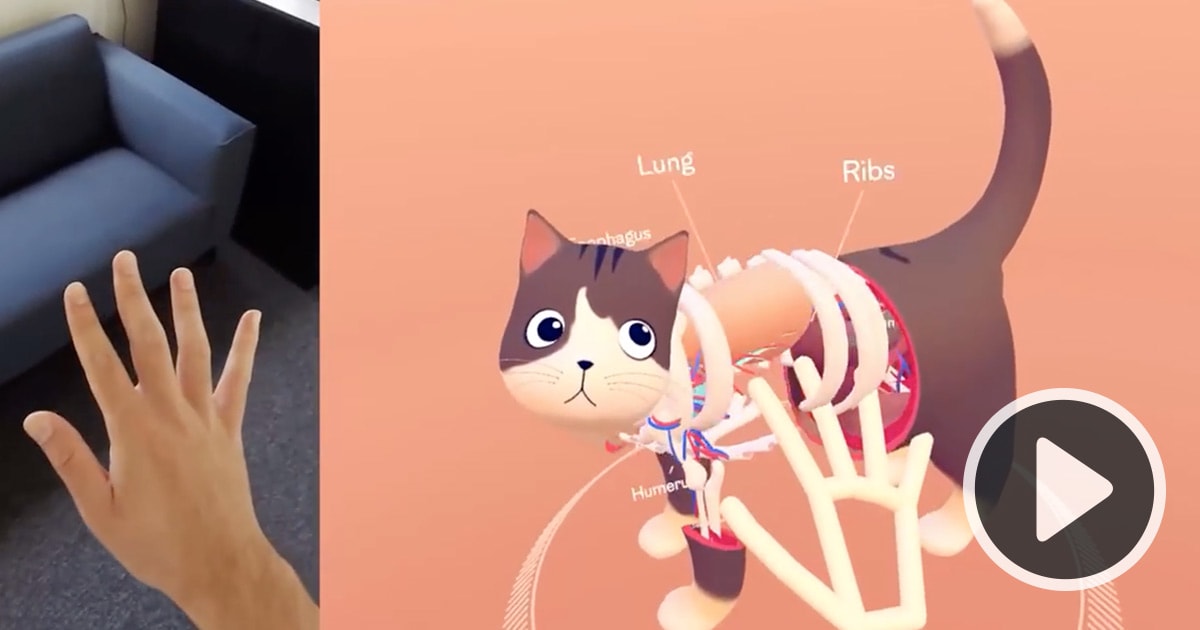 A New Virtual Reality Demo Allows Users to Explore the Inner Workings of a Friendly Feline