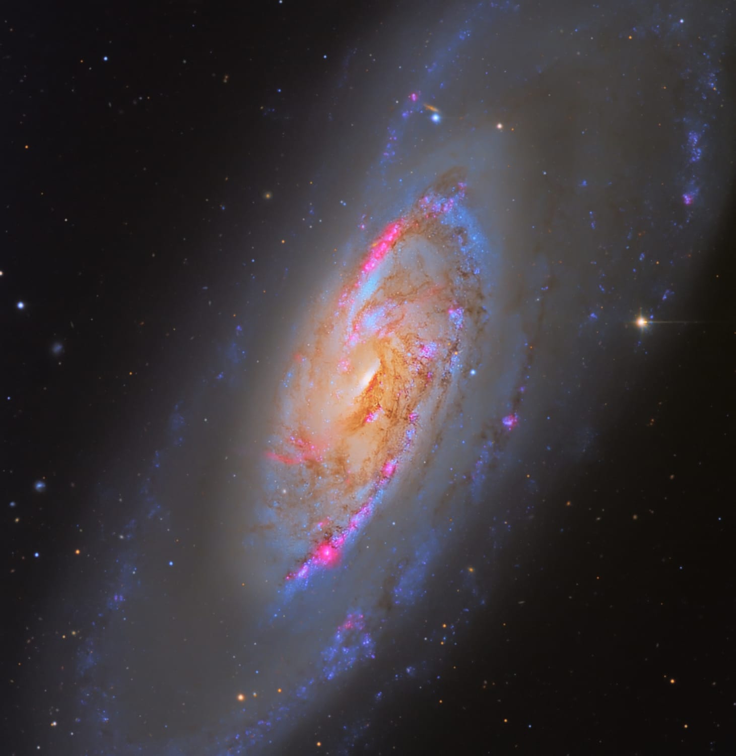 I teamed up with a professional observatory to create one of the sharpest images this galaxy ever taken