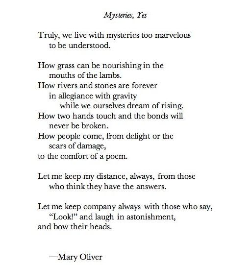 ArtPropelled | Mary oliver poems, Poetry words, Poems
