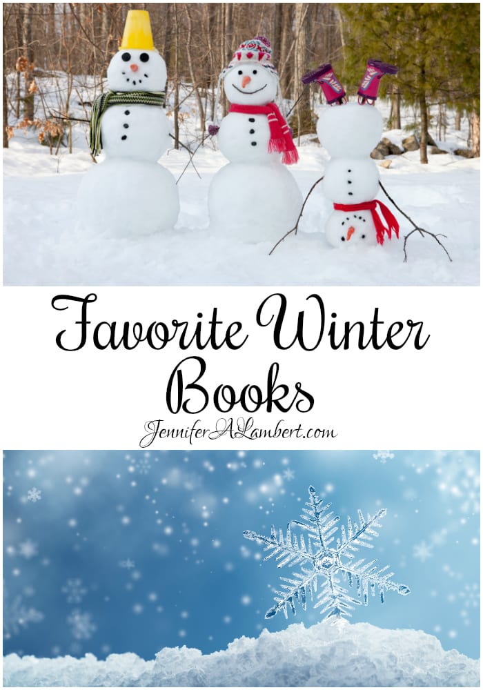 50+ Winter Books