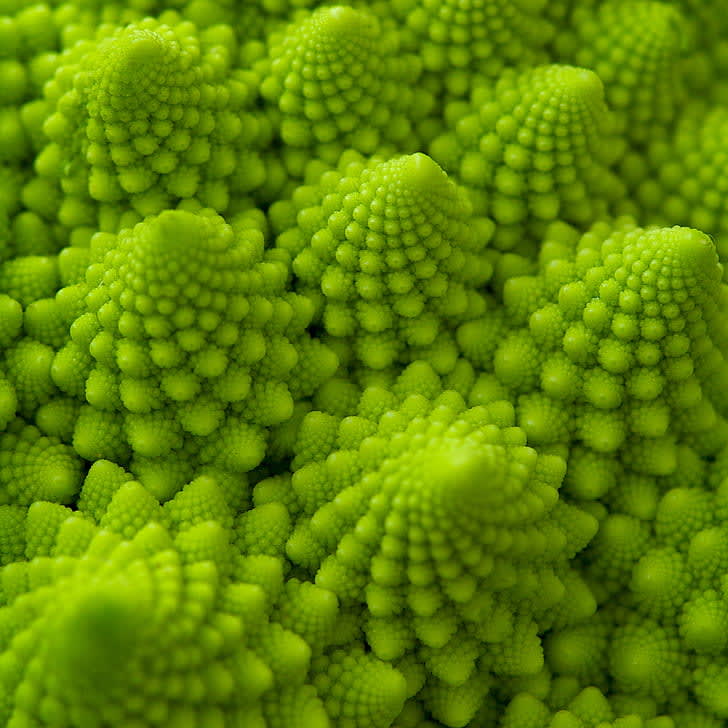 The first time I bought a romanesco cauliflower I spent 5 days looking at it before I ate it.