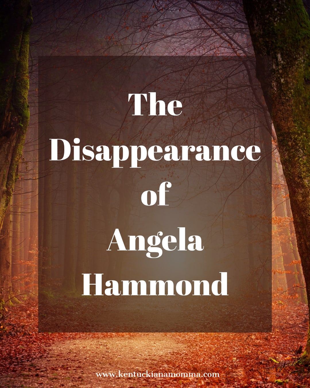 The Disappearance of Angela Hammond