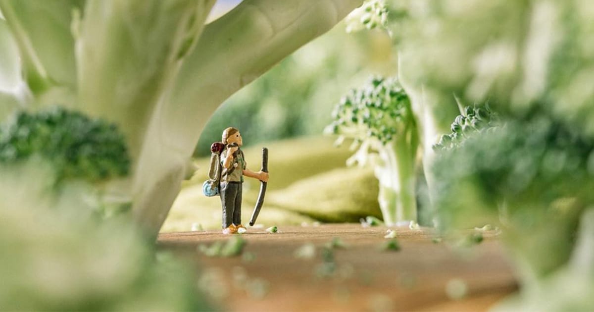 Quarantined Travel Photographer Creates Miniature “Outdoor” Scenes With Everyday Objects