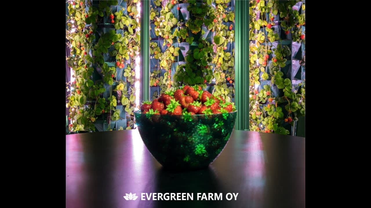 Finnish company growing food on a vertical farm in rotating containers