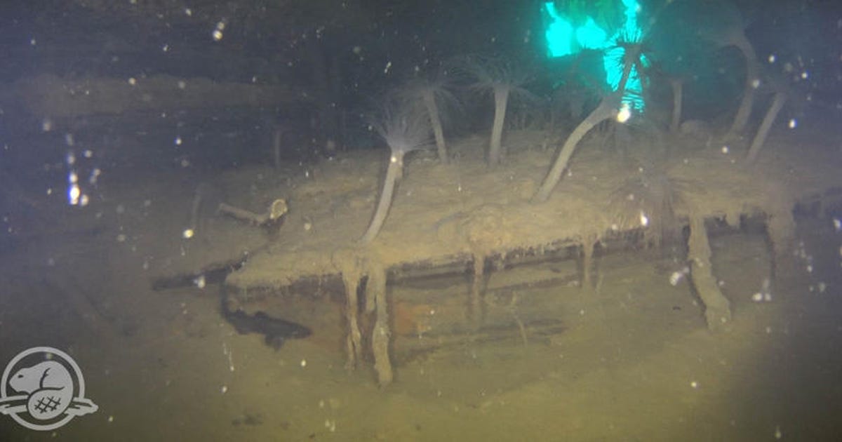 Remarkable footage reveals 'frozen in time' shipwreck of lost Arctic expedition