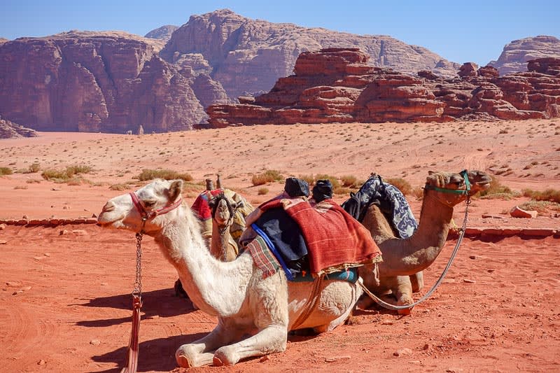 The Perfect Itinerary for 2 Weeks in Jordan