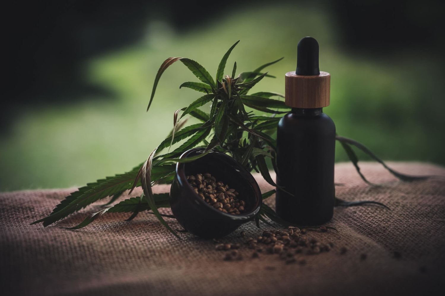 How Long Does CBD Oil Stays In Your System? MaxAgent Review