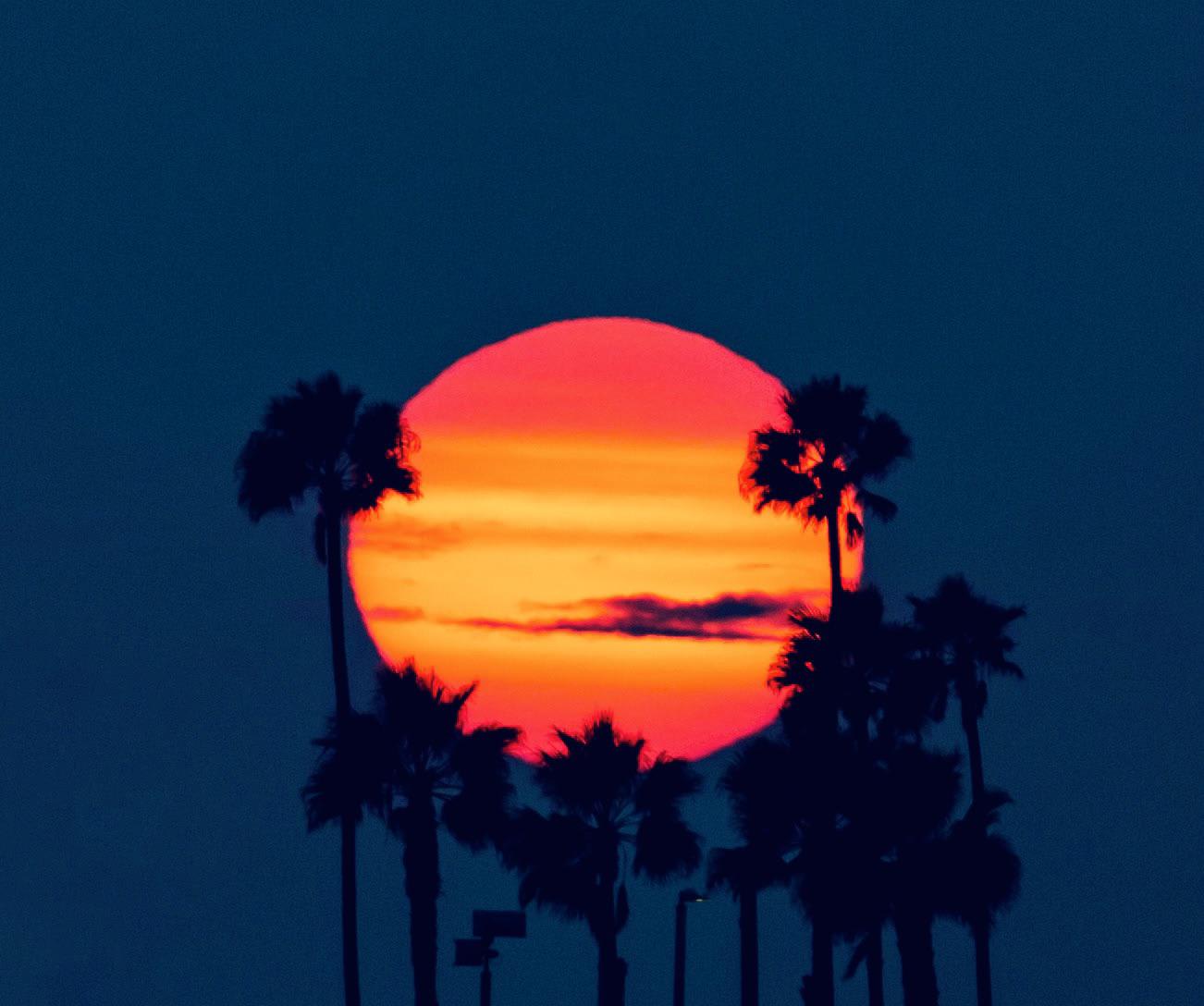 ITAP of the sun lining up with some palm trees