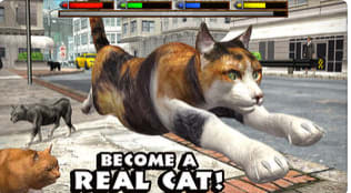 Ultimate Cat Simulator Download for Android & PC