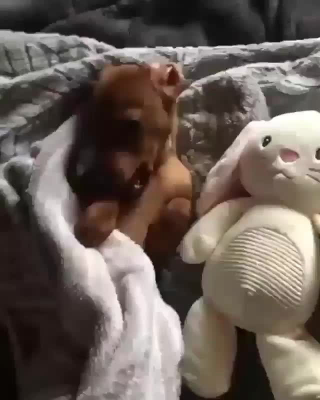Sleeping with his favorite toy