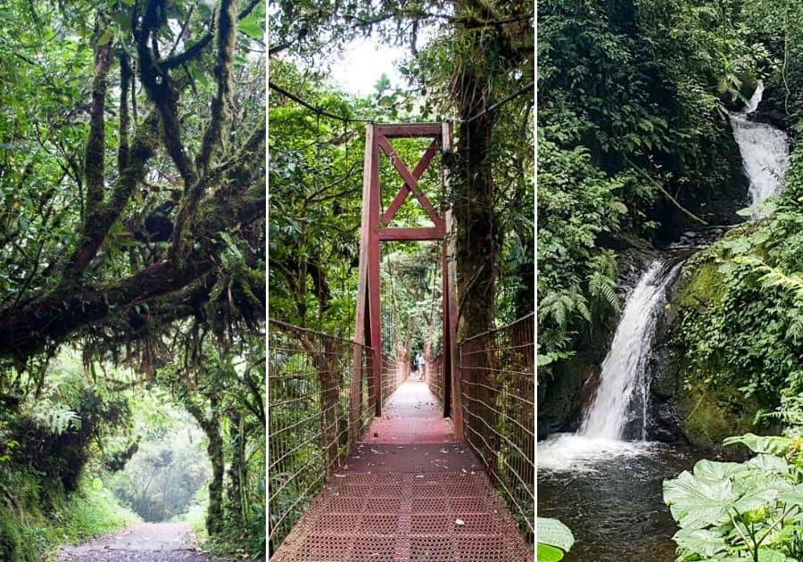 Cool things to do in Monteverde, Costa Rica