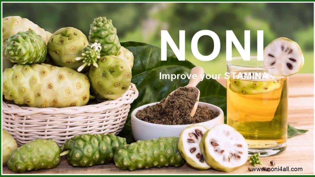 Noni Fruit: The Exclusive Information With Video (2020)