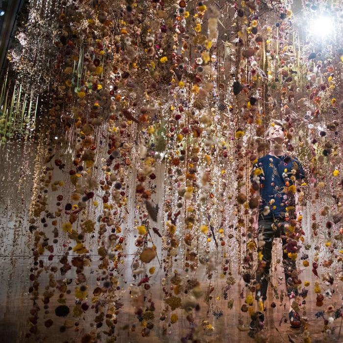 Community: Over 500,000 Preserved and Local Flowers Suspended in the Toledo Museum of Art