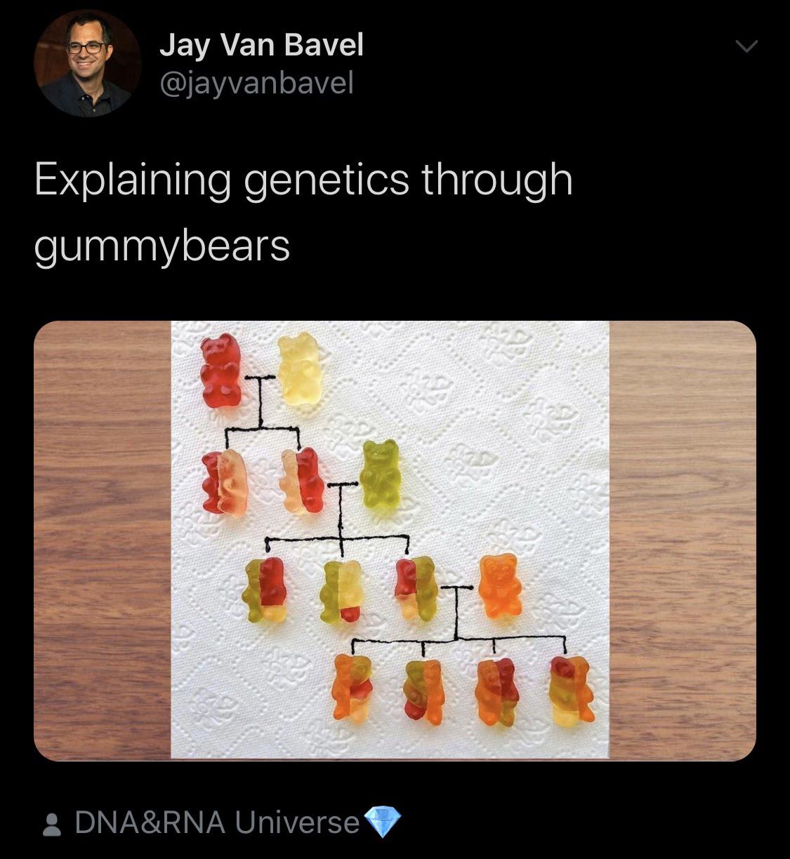 Family tree made of gummybears!