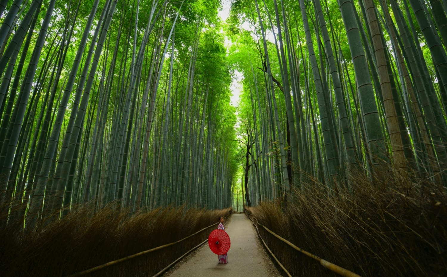 14 Unmissable Things to Do in Arashiyama, Kyoto