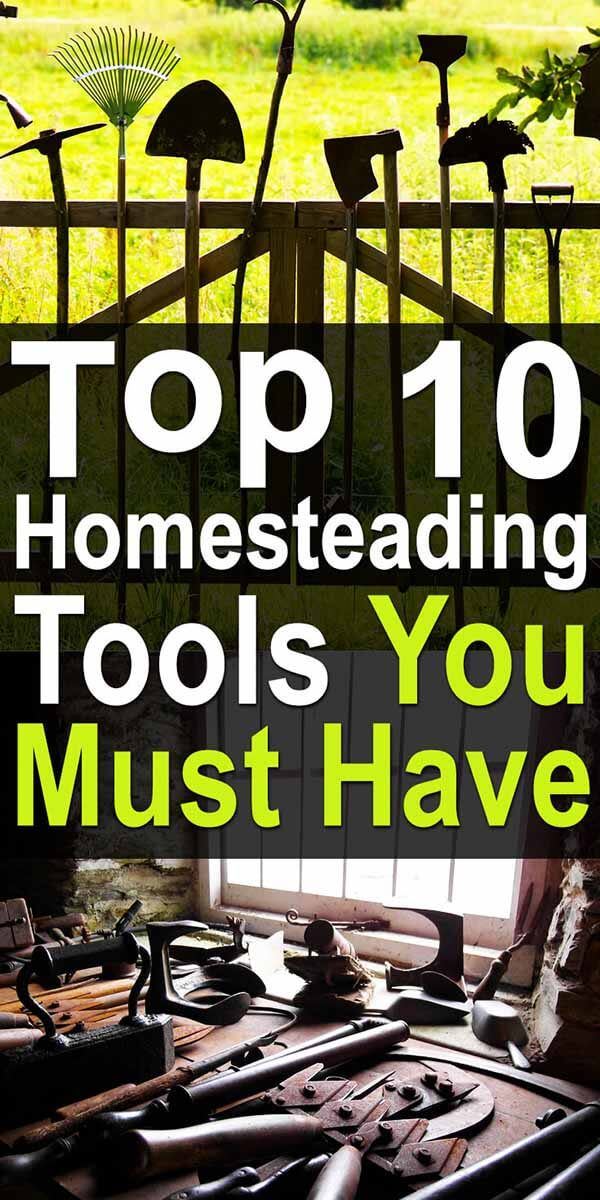 10 Essential Homesteading Tools