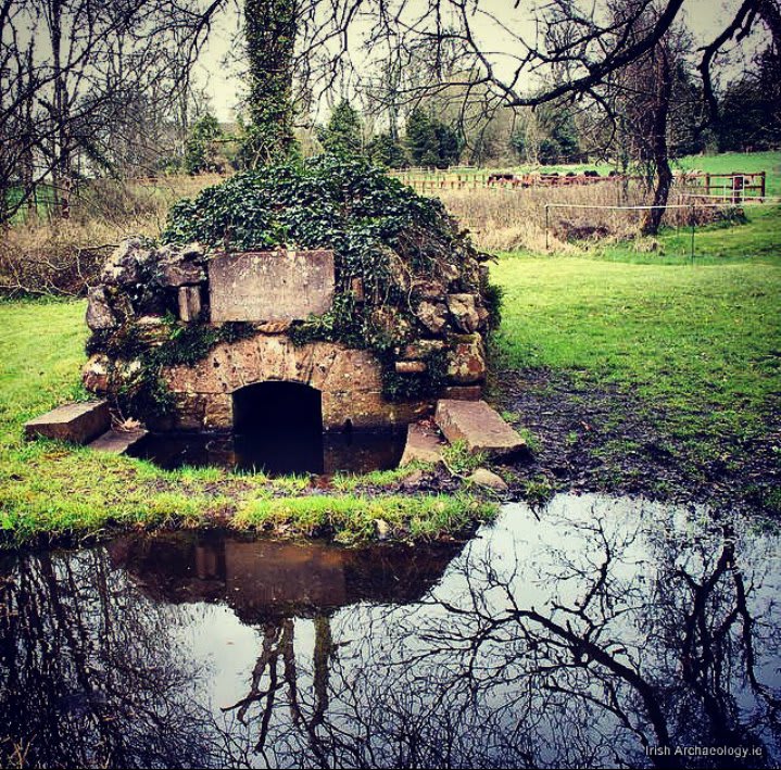 St Colmcille's holy well, Durrow, Co Offaly. Set in a wooded glen, its sacred waters are believed to have curative powers