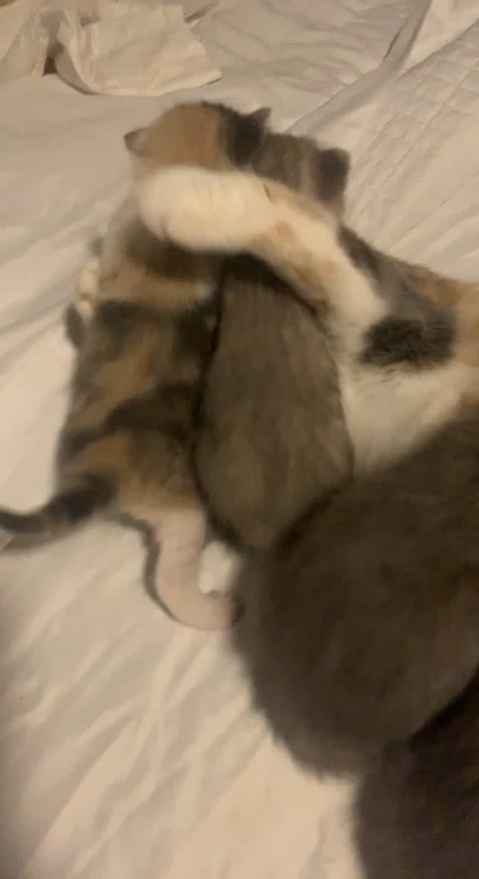 Hugging and kissing the smolest babies
