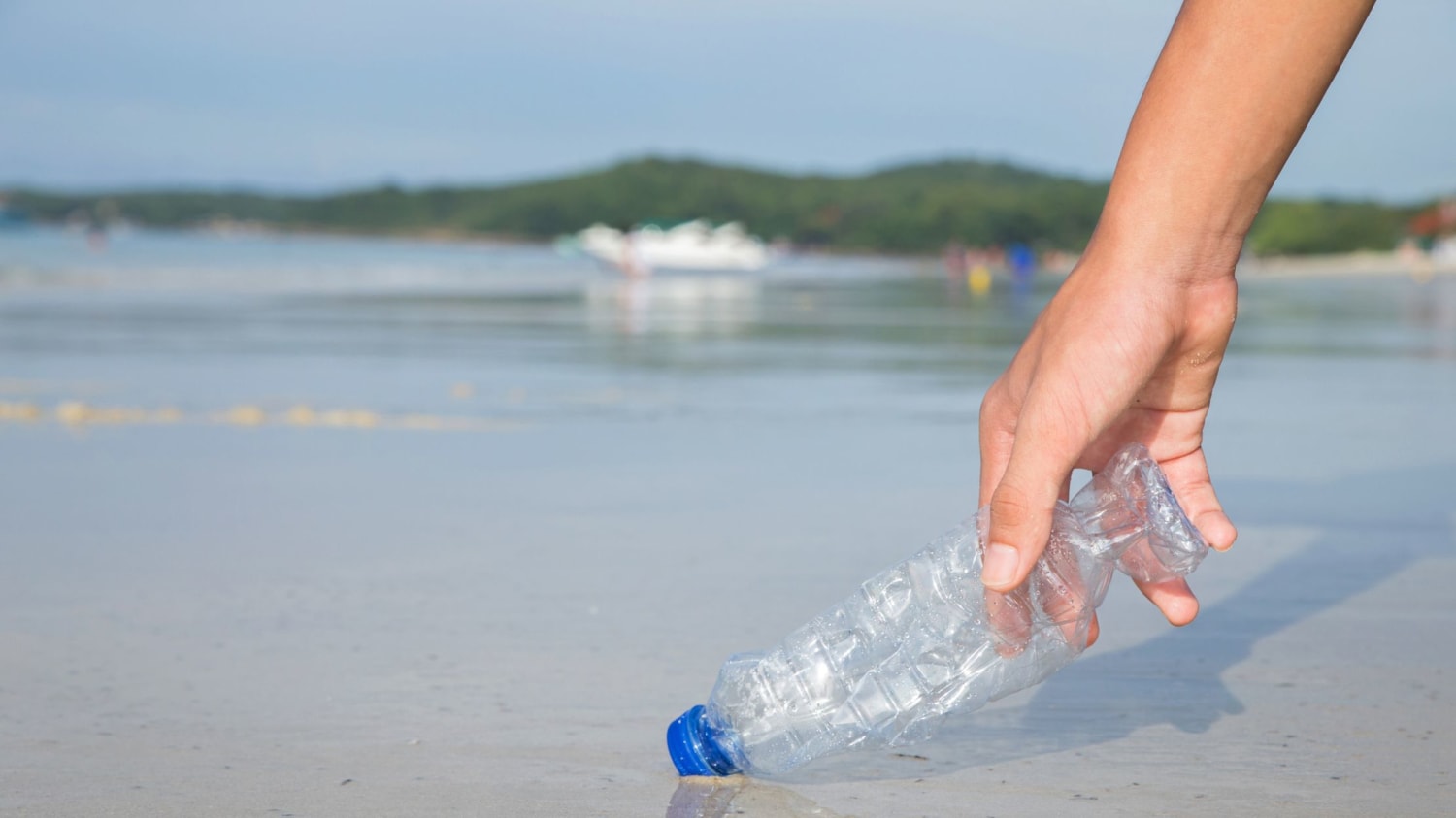 15 Things You Can Do to Help Keep Oceans Clean