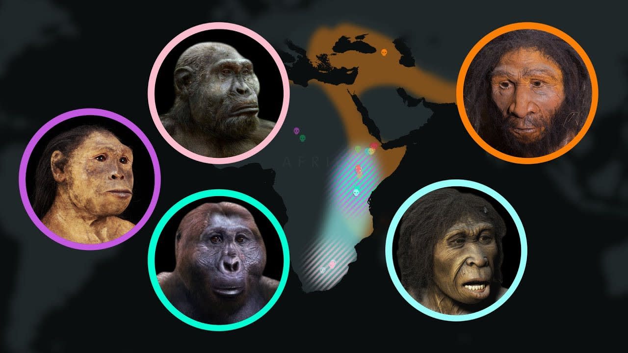 Seven Million Years of Human Evolution | The Kid Should See This
