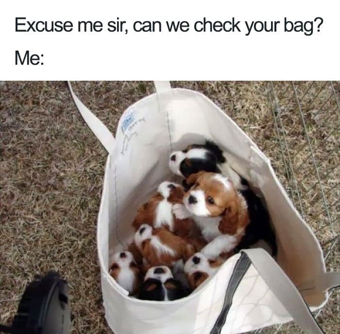 Pack-a-puppy.