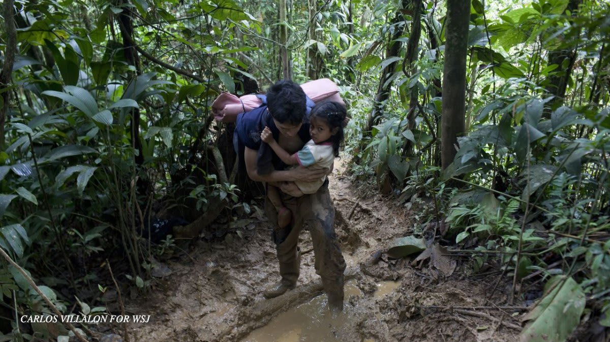 Tens of thousands of displaced Venezuelans are on the move again, trekking to the U.S. in search of asylum and stability