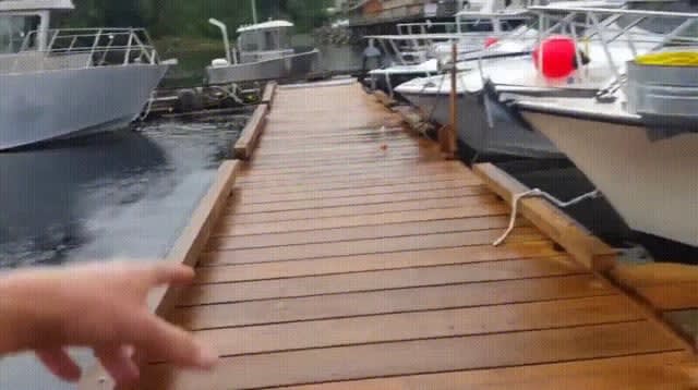 How deep that dock is