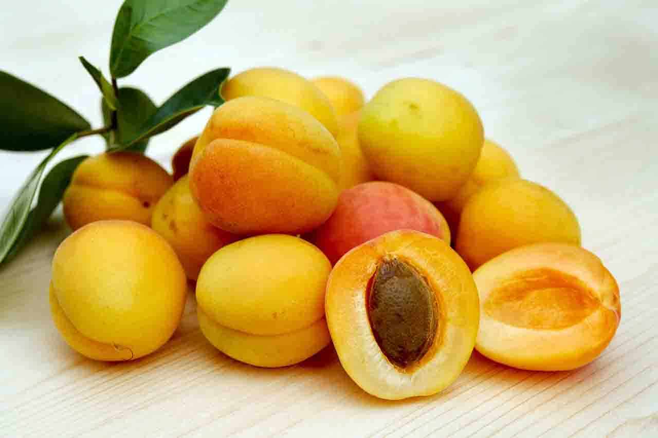 Apricot Benefits for You!!! revised Guide