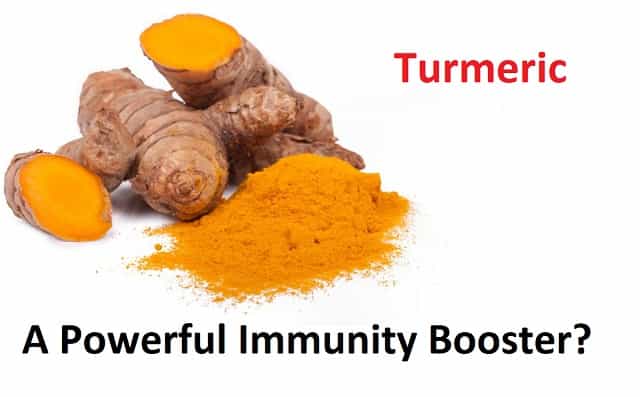 Why is Turmeric A Powerful Immunity Booster? Benefits of Turmeric Immune to disease
