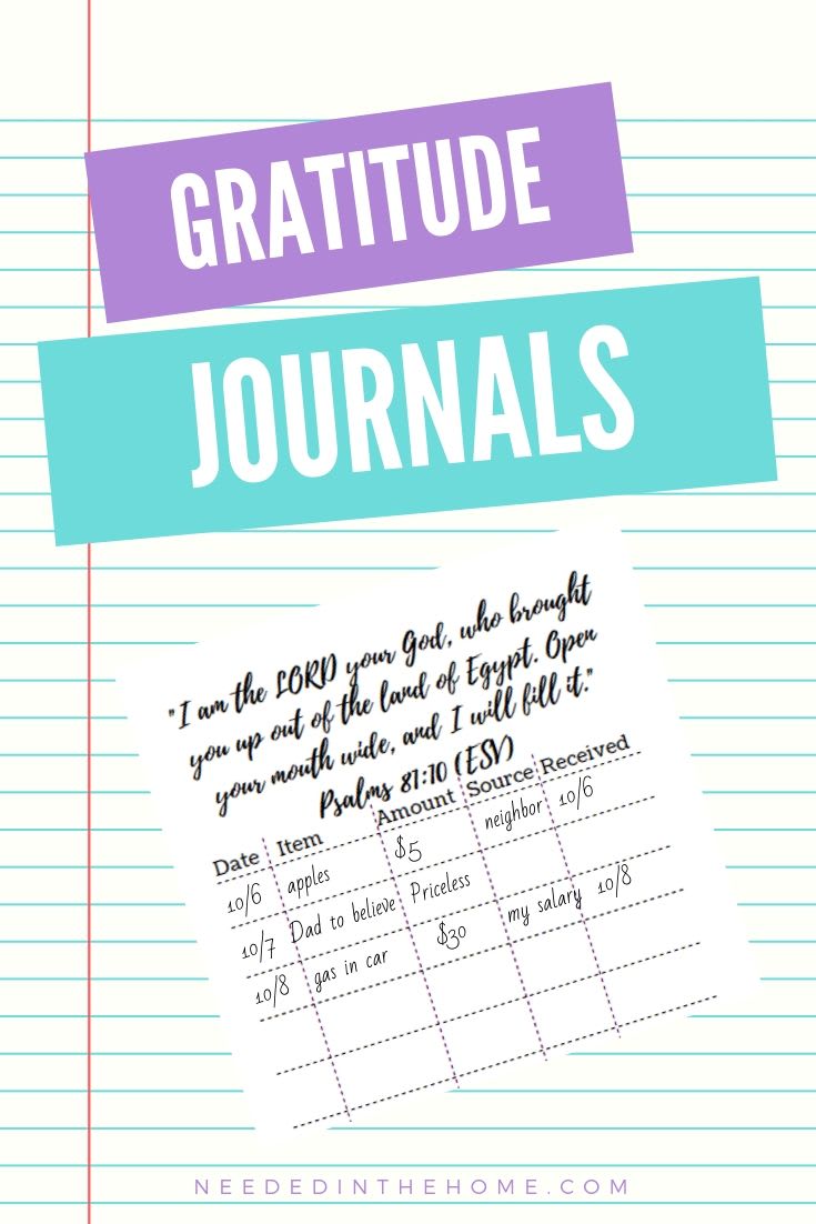 God's Provision Gratitude & Prayer Journals by Amy Marohl