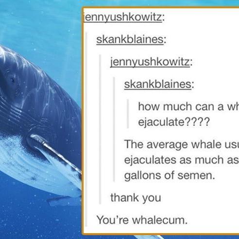14 Times Tumblr Taught Us the Weirder Side of Marine Biology