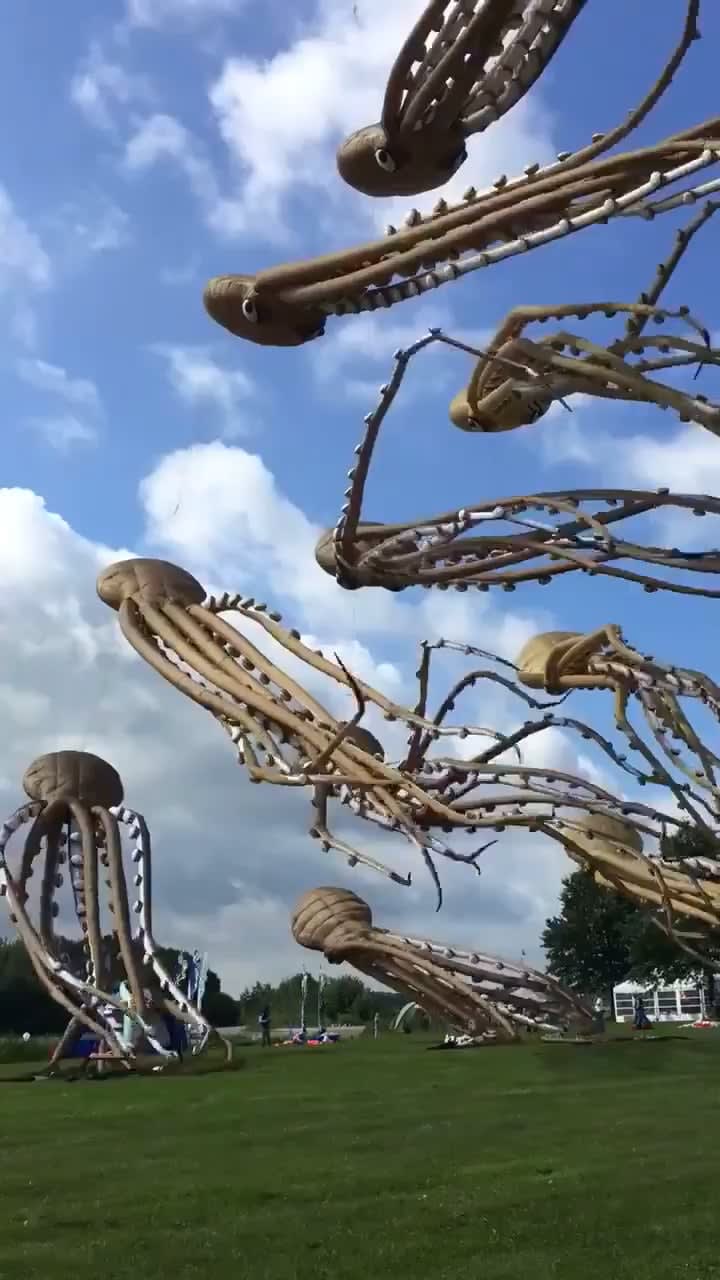 These octopus kites are absolutely incredible