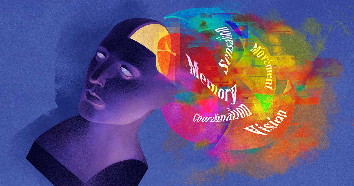 The Brain Doesn't Think the Way You Think It Does: Familiar categories of mental functions such as perception, memory and attention reflect our experience of ourselves, but they are misleading about how the brain works. More revealing approaches are emerging.