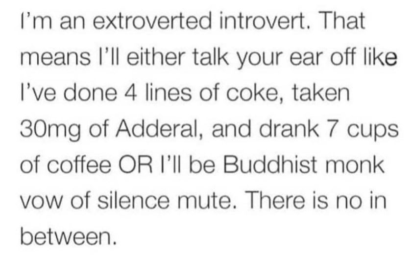 Extrovert introvert