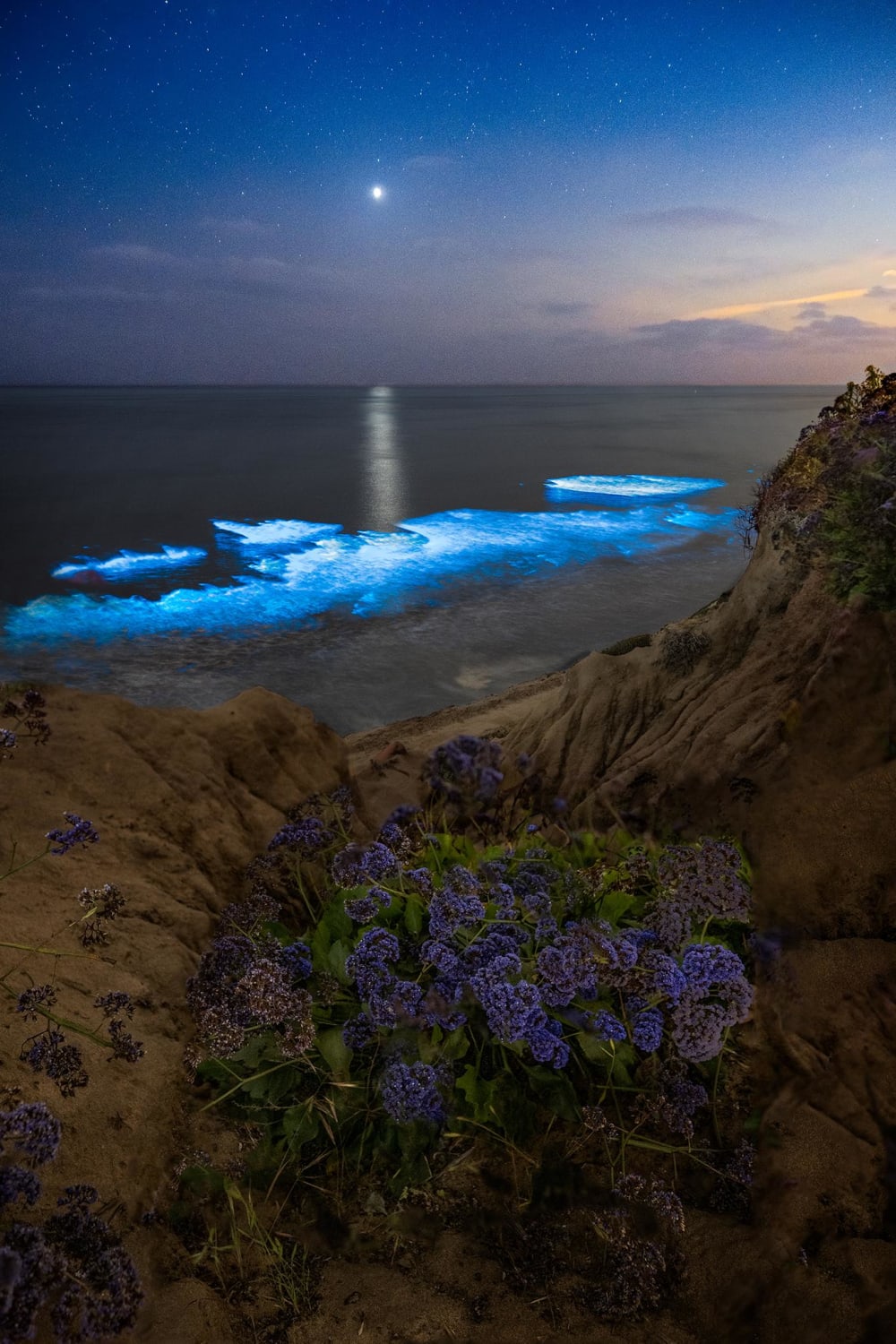 Bioluminescent waves glowing blue as Venus shines and reflects off the ocean - San Diego, CA @jackfusco