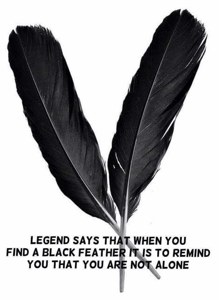 Pin by My Lady's Dolls on Ravens | Feather meaning, Feather, Native american quotes
