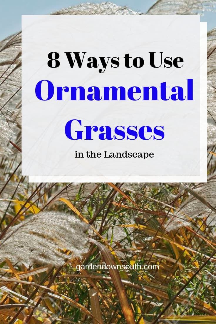 Ornamental Grasses in the Landscape ~ Garden Down South