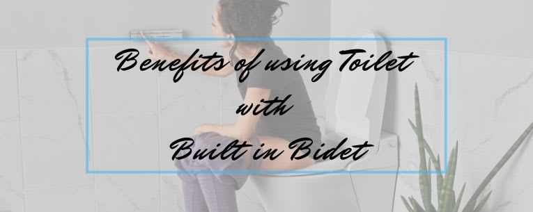 Benefits of using Toilet with built in Bidet ~ The Writs