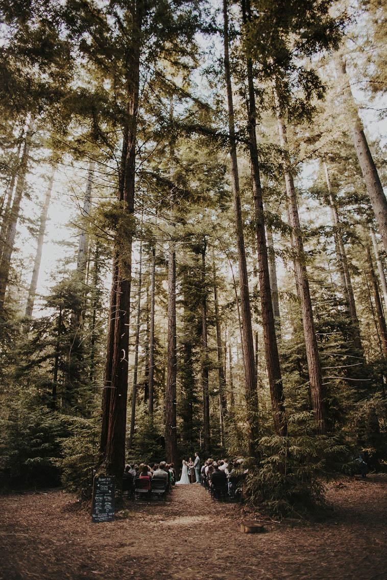 A Dreamy Woodland Wedding at Luxurious Summer Camp in Northern California | Woodland wedding inspiration, Redwood wedding, Woodland wedding