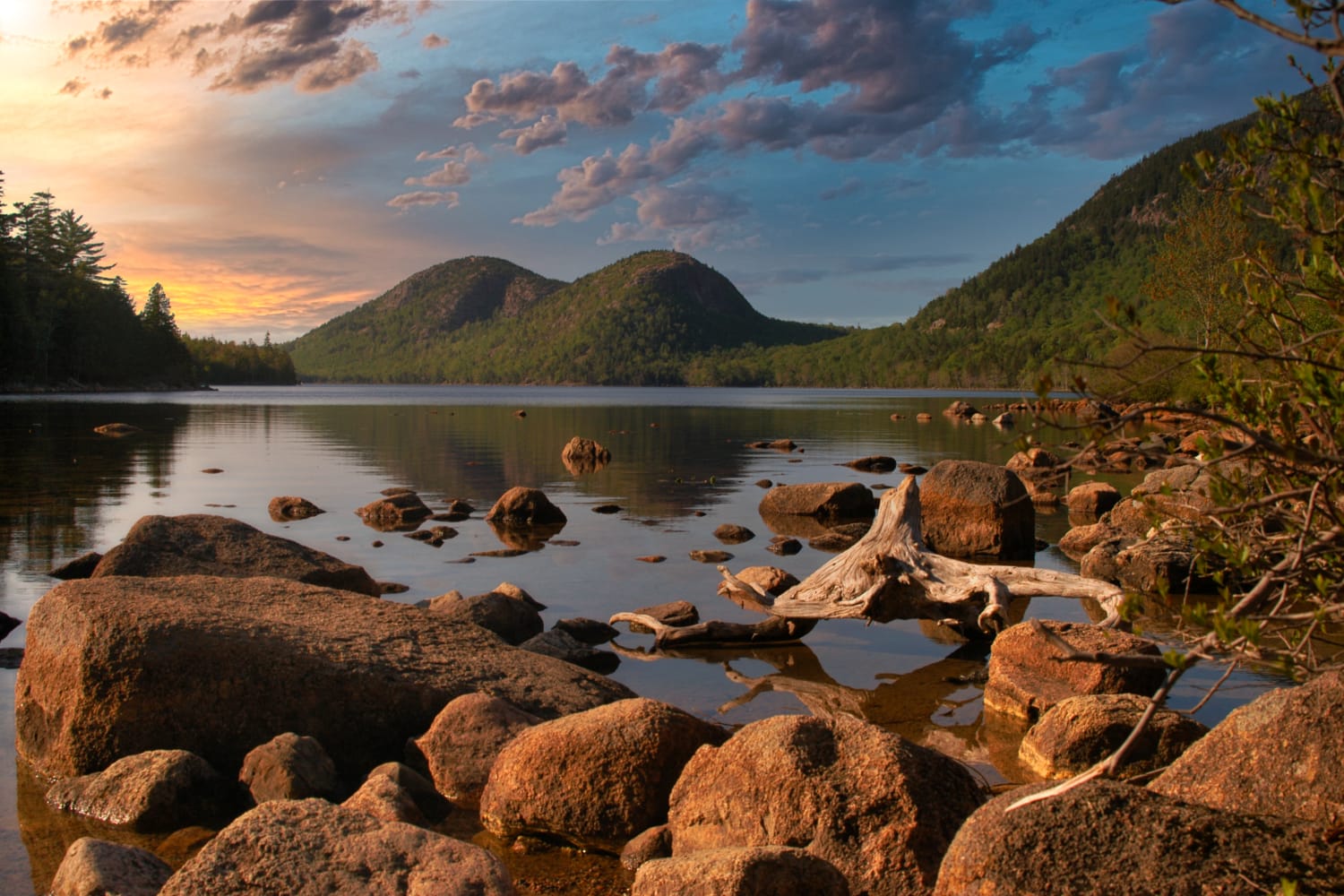 Arcadia National Park