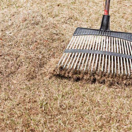 ALL ABOUT LAWN DETHATCHING RAKES
