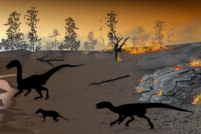 Fossil Footprints Reveal Ecosystem In Midst Of A Mass Extinction