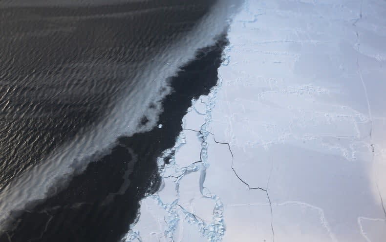 Declining Antarctic Sea Ice Could Disrupt a Major Carbon Sink