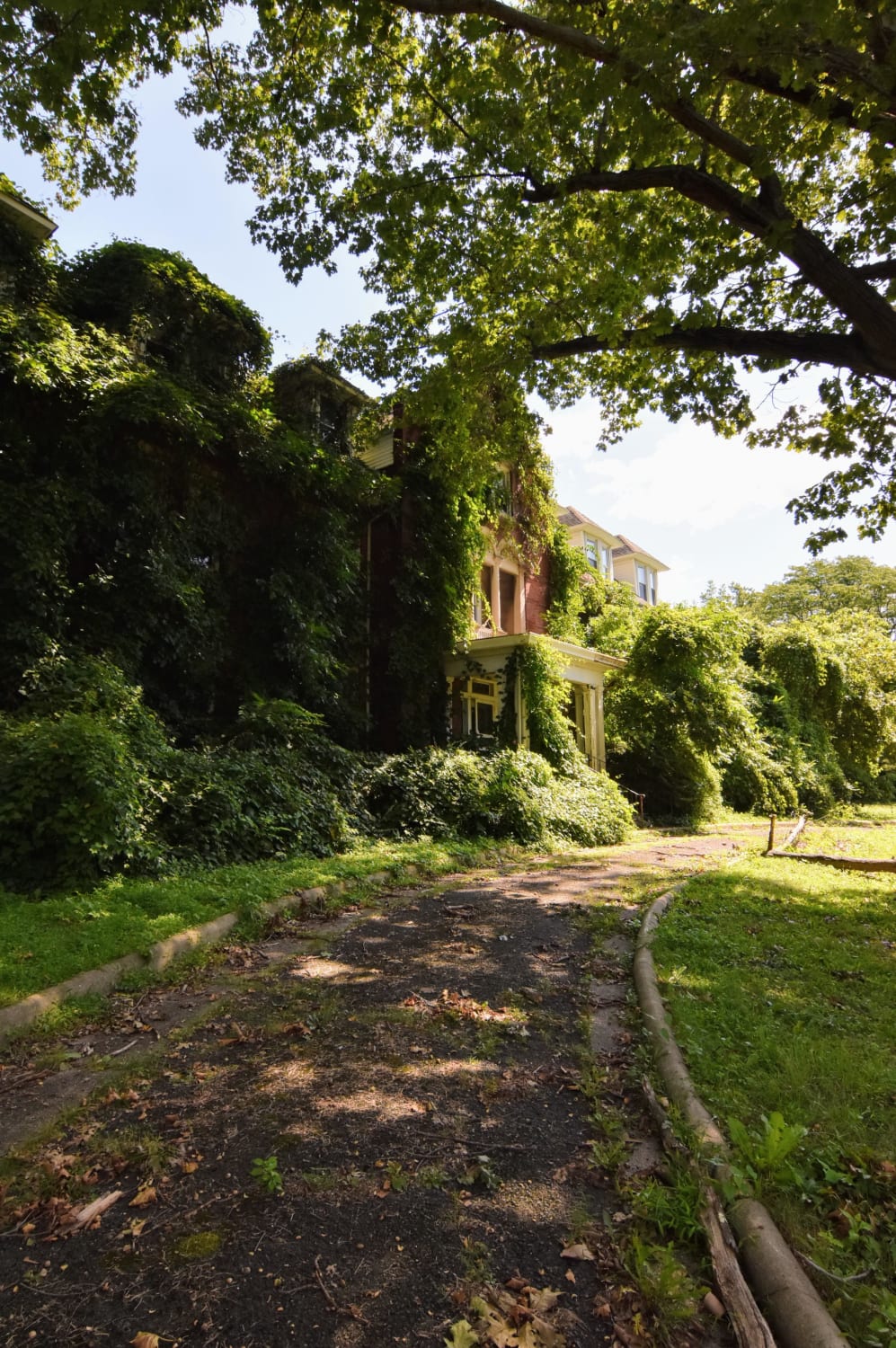 This abandoned nursing home has been overtaken by ivy.